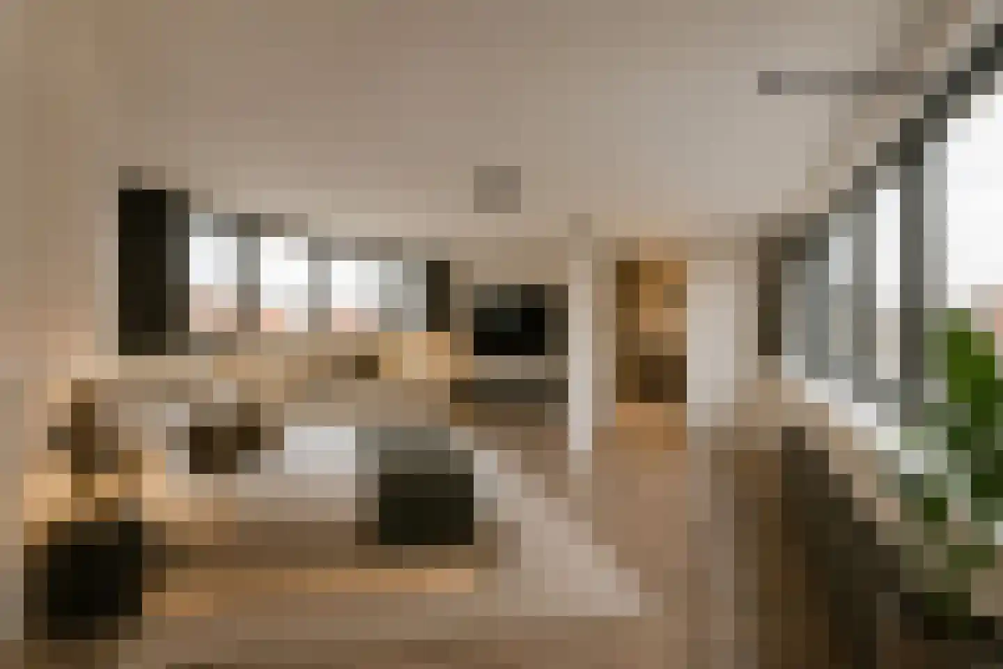 Reijer Anslostraat 53 Haarlem thumbnail 38