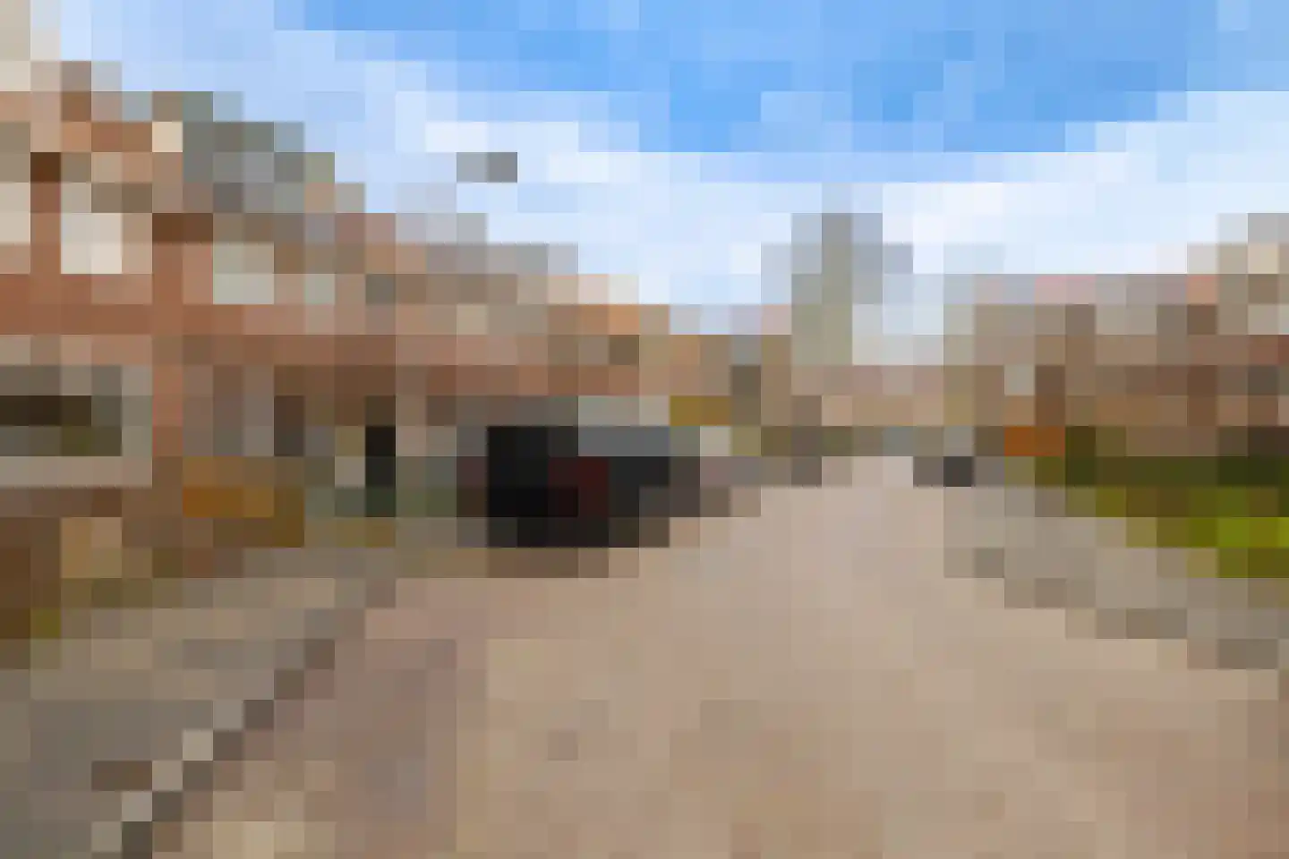 Reijer Anslostraat 53 Haarlem thumbnail 45