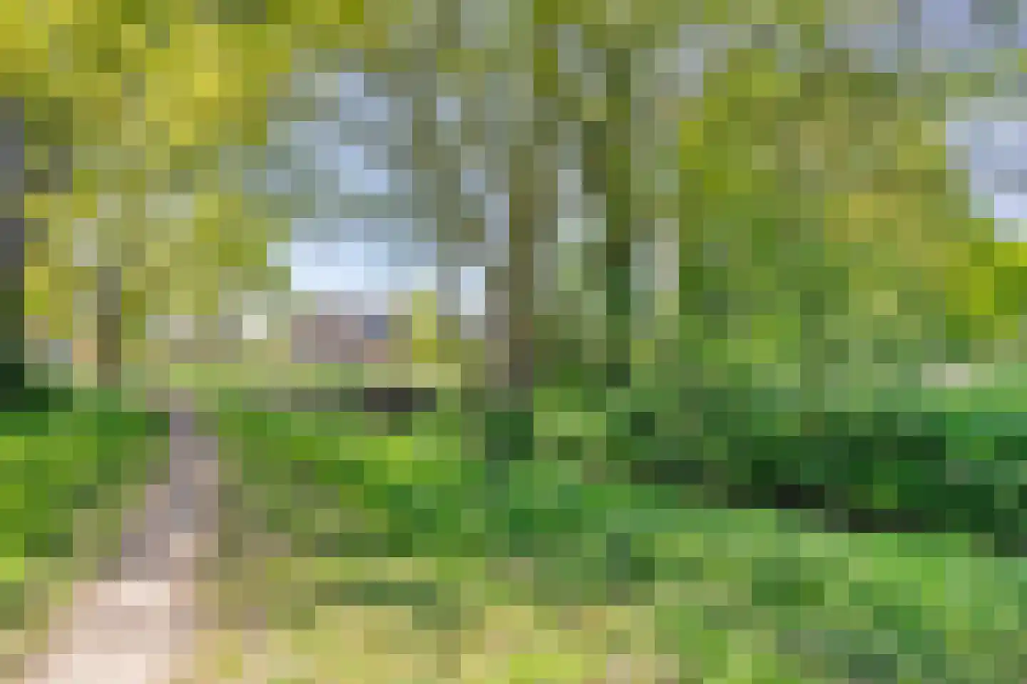 Reijer Bronsstraat 25 Terschuur thumbnail 45