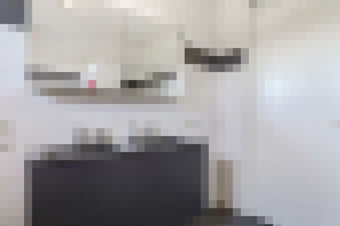 Reijer Bronsstraat 28 Terschuur thumbnail 49