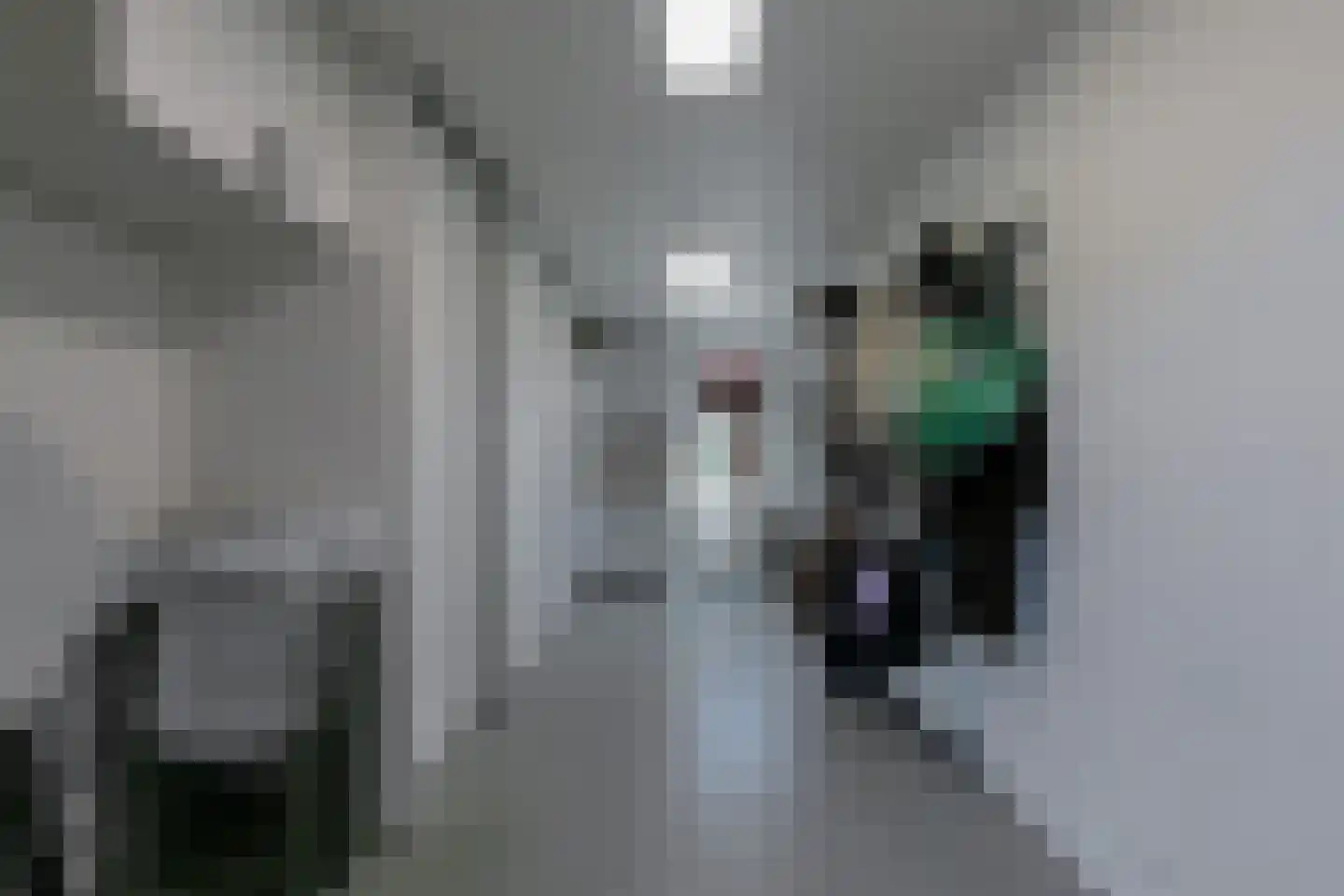 Reijer Bronsstraat 28 Terschuur thumbnail 56