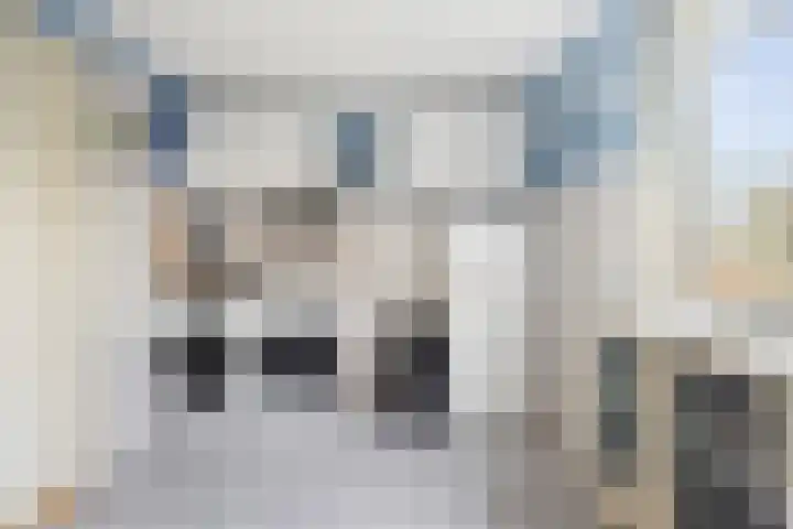 Reijer Dekkerweg 1 Anna Paulowna thumbnail 23