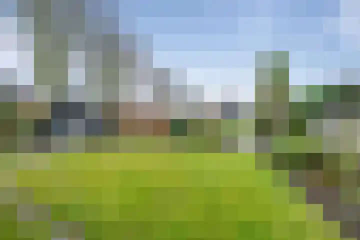 Reijer Dekkerweg 1 Anna Paulowna thumbnail 27