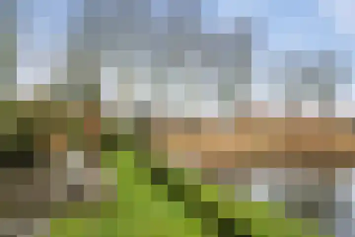 Reijer Dekkerweg 1 Anna Paulowna thumbnail 34