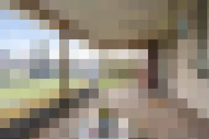 Reijer Dekkerweg 1 Anna Paulowna thumbnail 39
