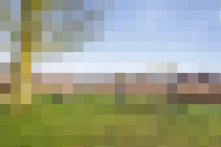 Reijer Dekkerweg 1 Anna Paulowna thumbnail 65