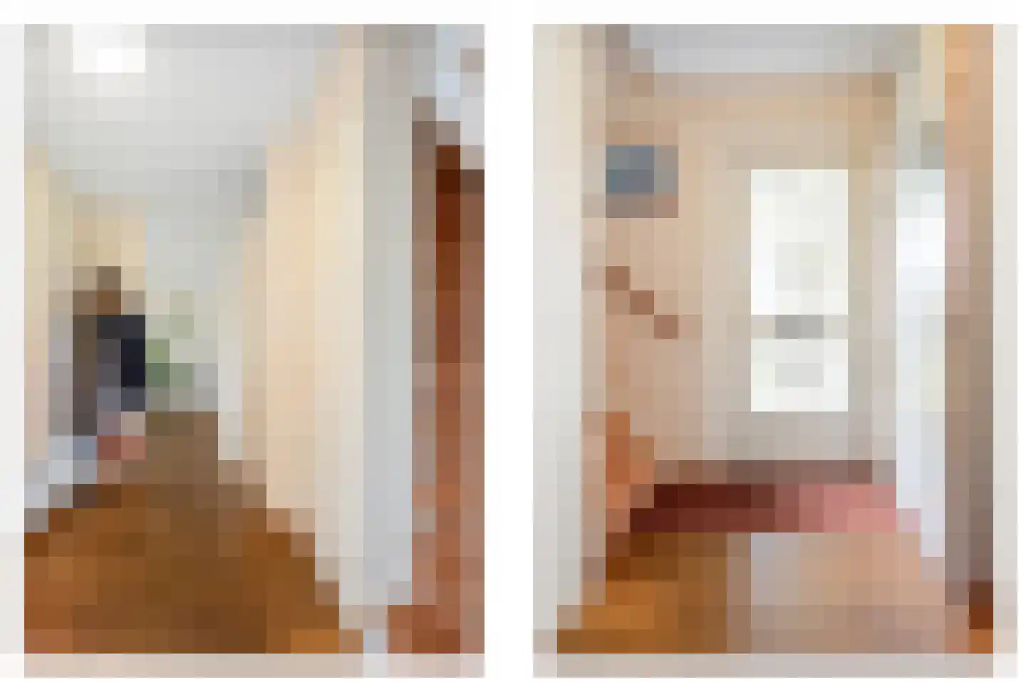 Reijer Dekkerweg 1 Anna Paulowna thumbnail 7