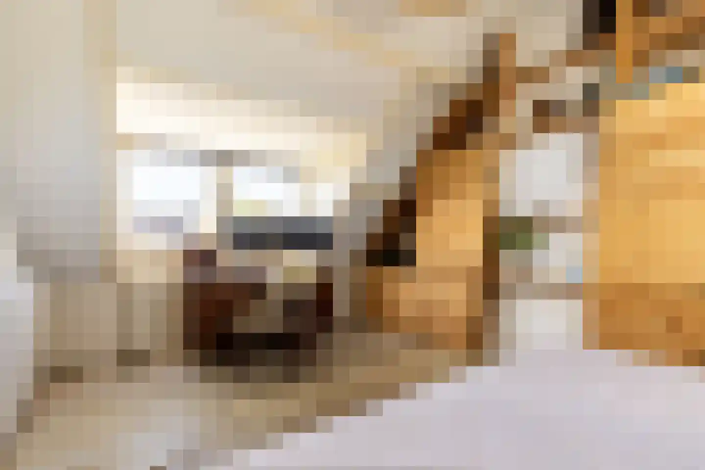 Reijer Spreijstraat 1 Abcoude thumbnail 24