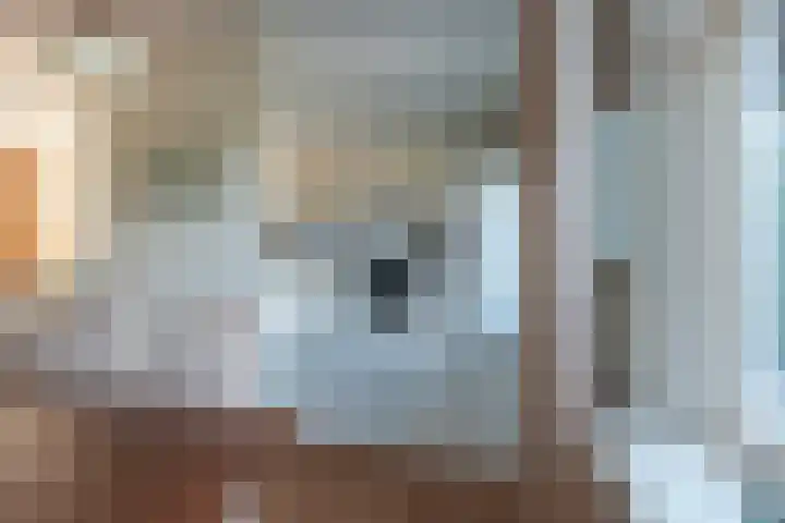 Reijerserf 16 Eemnes thumbnail 12