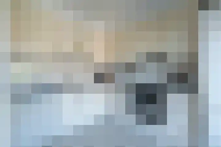Reijerserf 16 Eemnes thumbnail 14