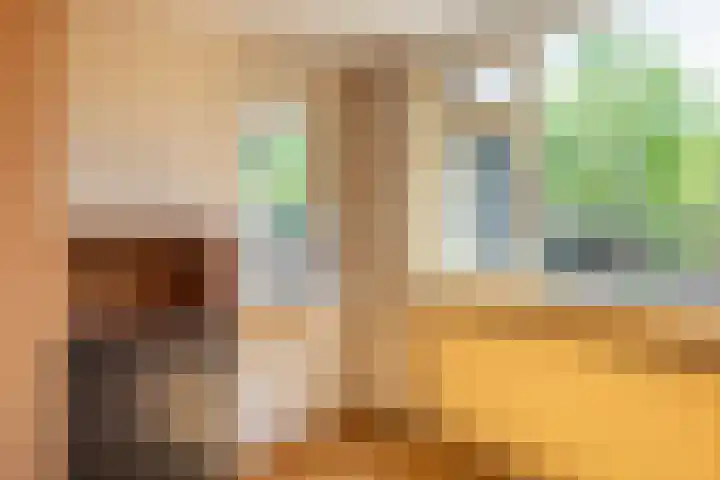 Reijerserf 16 Eemnes thumbnail 20