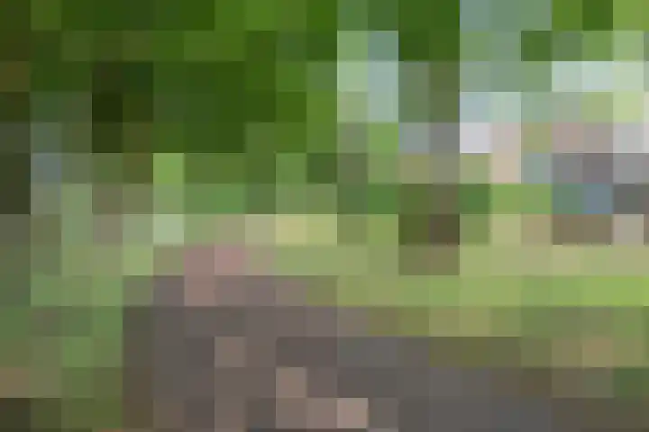 Reijerserf 16 Eemnes thumbnail 42
