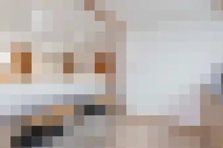 Reijerserf 25 Eemnes thumbnail 12