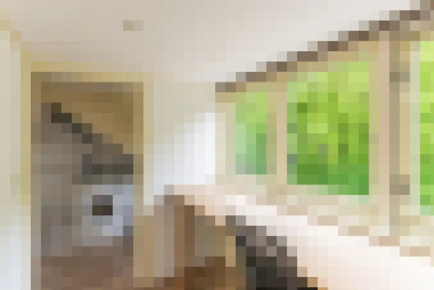 Reijerserf 40 Eemnes thumbnail 32