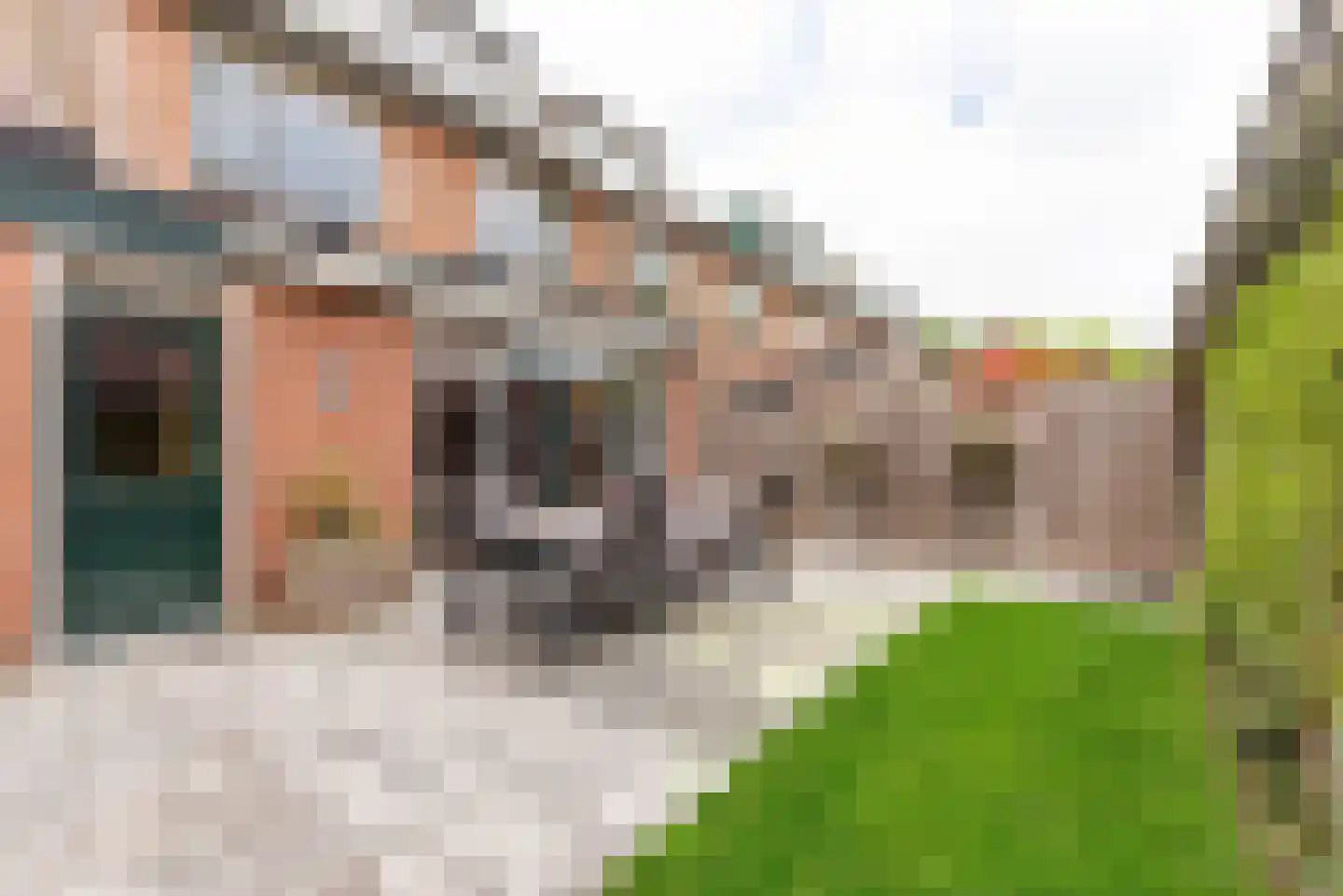 Reijerserf 40 Eemnes thumbnail 35