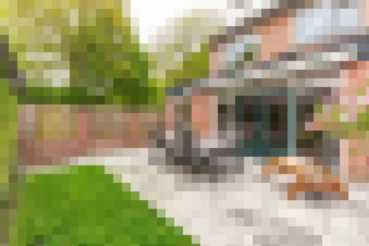 Reijerserf 40 Eemnes thumbnail 36