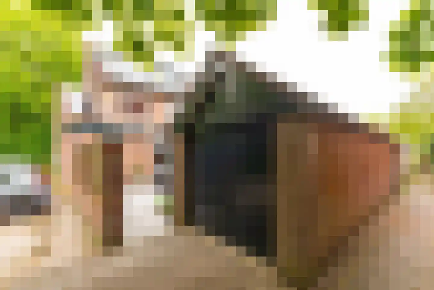 Reijerserf 40 Eemnes thumbnail 37