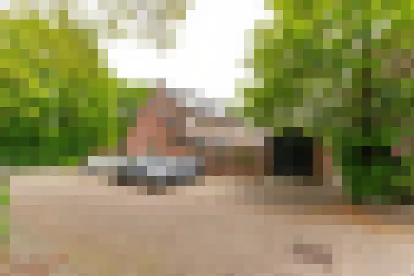Reijerserf 40 Eemnes thumbnail 38