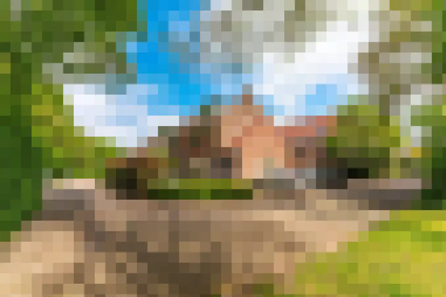 Reijerserf 40 Eemnes thumbnail 6