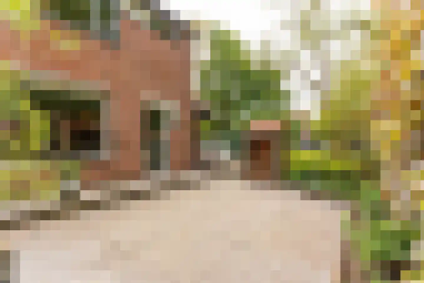 Reijerserf 40 Eemnes thumbnail 7