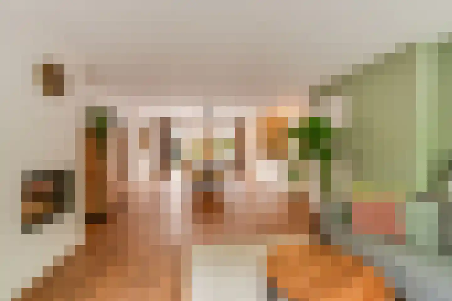 Reijerserf 40 Eemnes thumbnail 9
