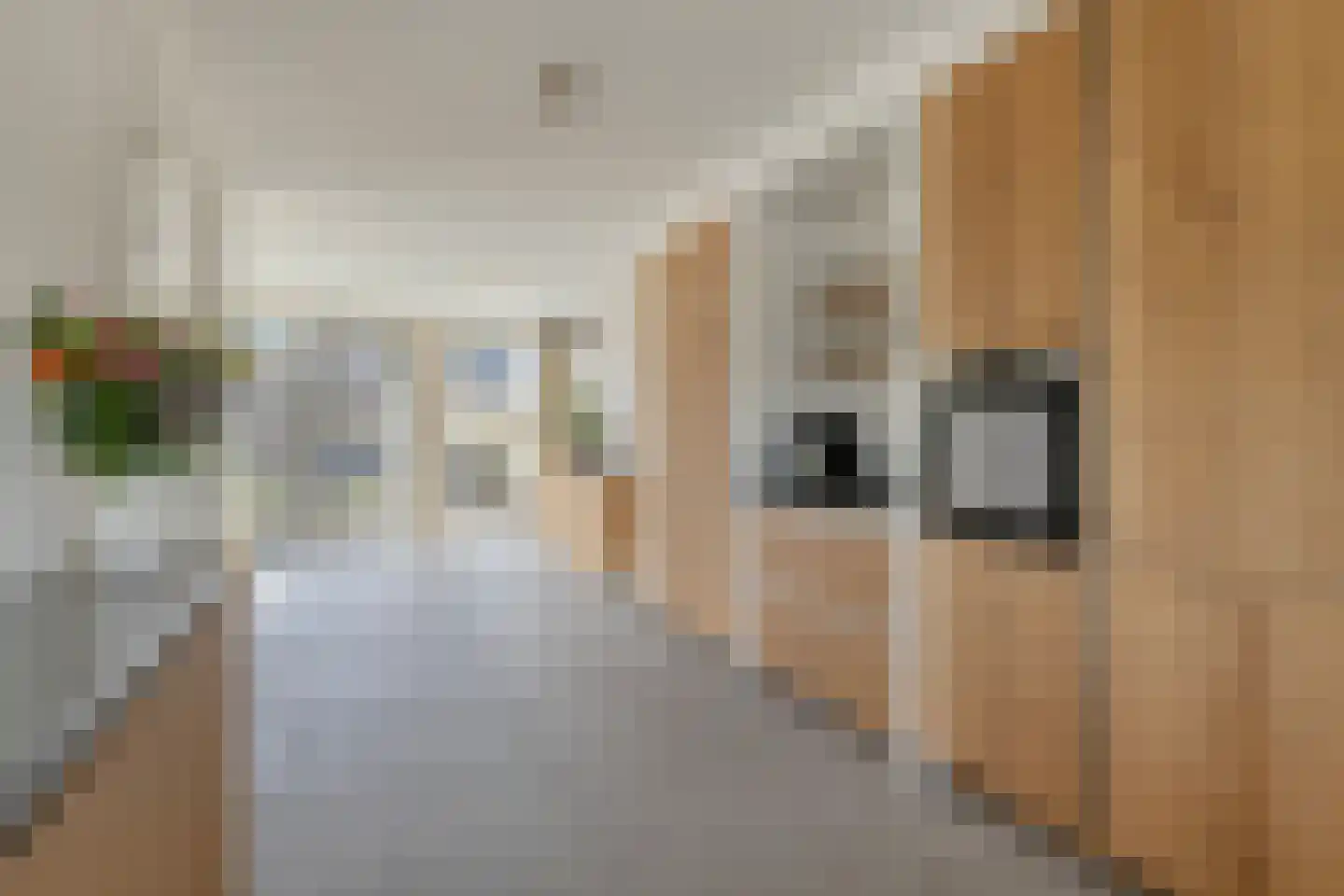 Reijersgroet 115 Alkmaar thumbnail 17