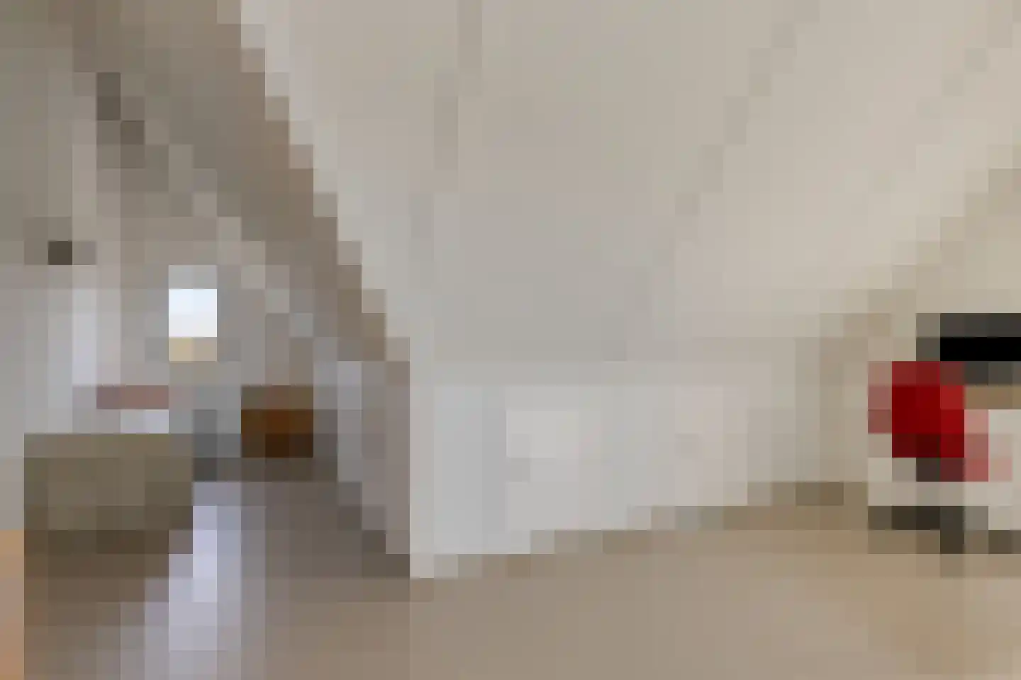 Reijersgroet 115 Alkmaar thumbnail 30