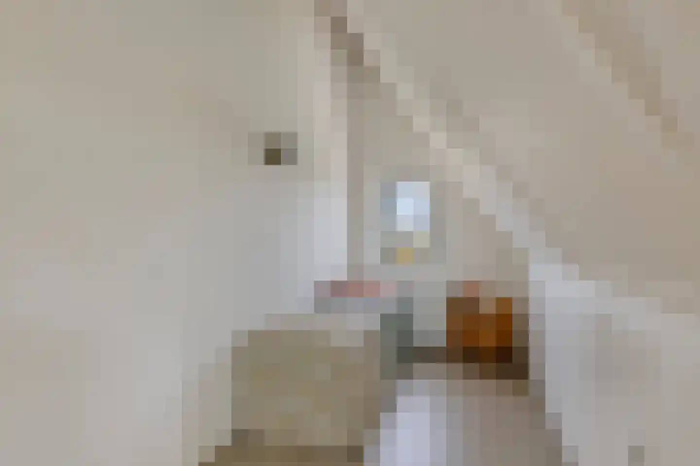 Reijersgroet 115 Alkmaar thumbnail 31