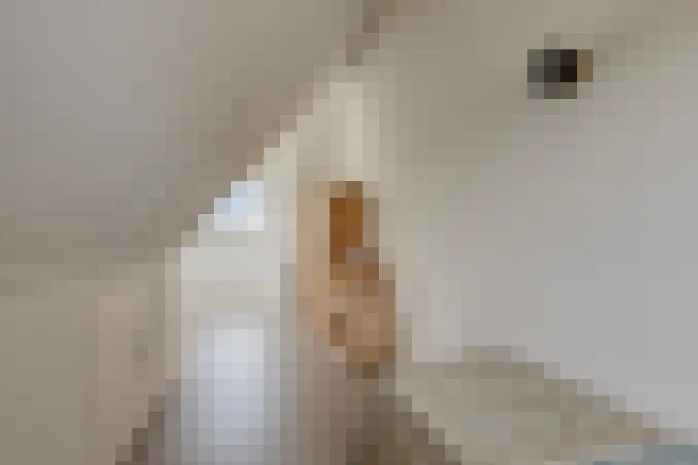 Reijersgroet 115 Alkmaar thumbnail 32