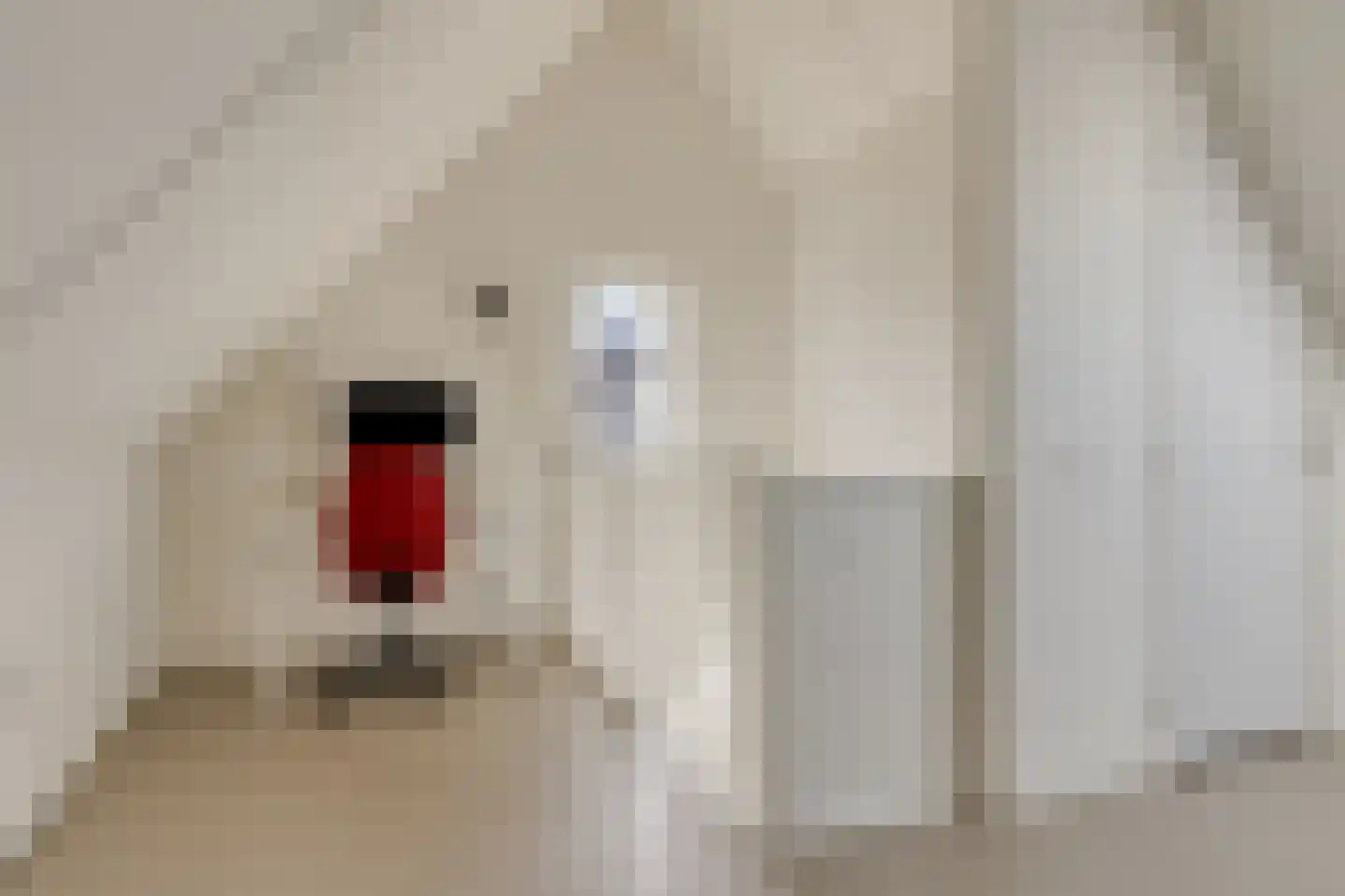 Reijersgroet 115 Alkmaar thumbnail 34