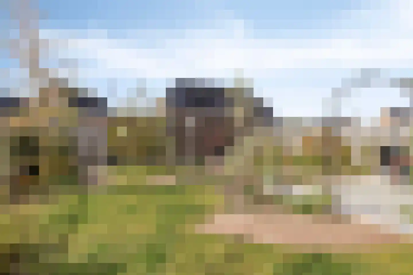 Reijersgroet 115 Alkmaar thumbnail 37