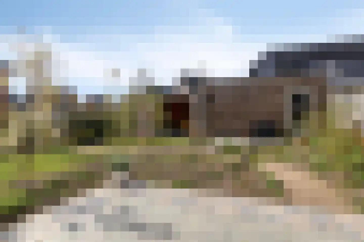 Reijersgroet 115 Alkmaar thumbnail 38