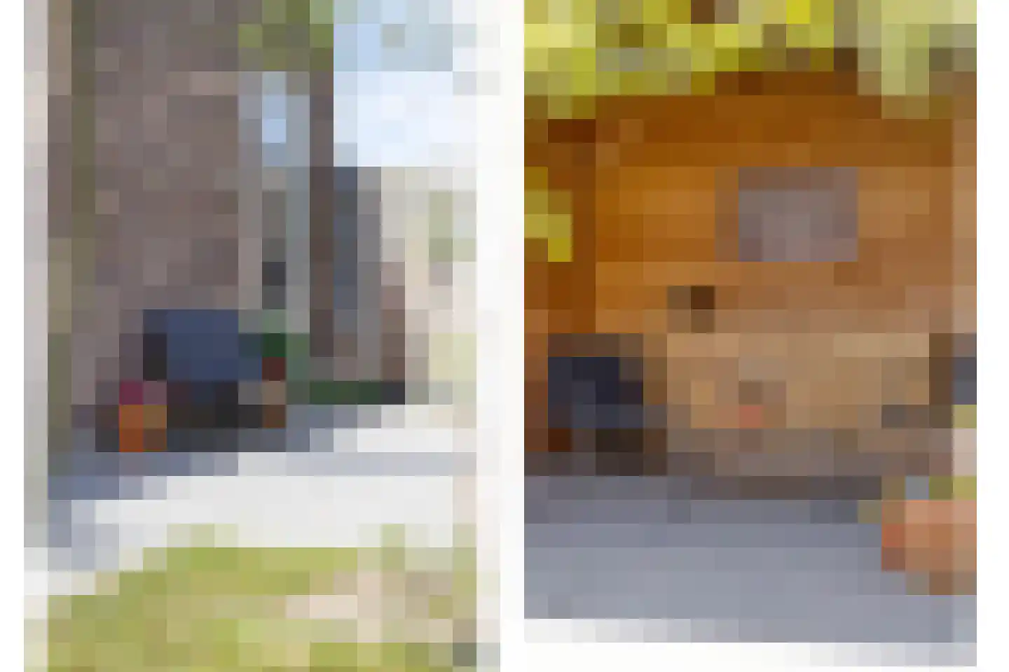 Reijersgroet 115 Alkmaar thumbnail 41