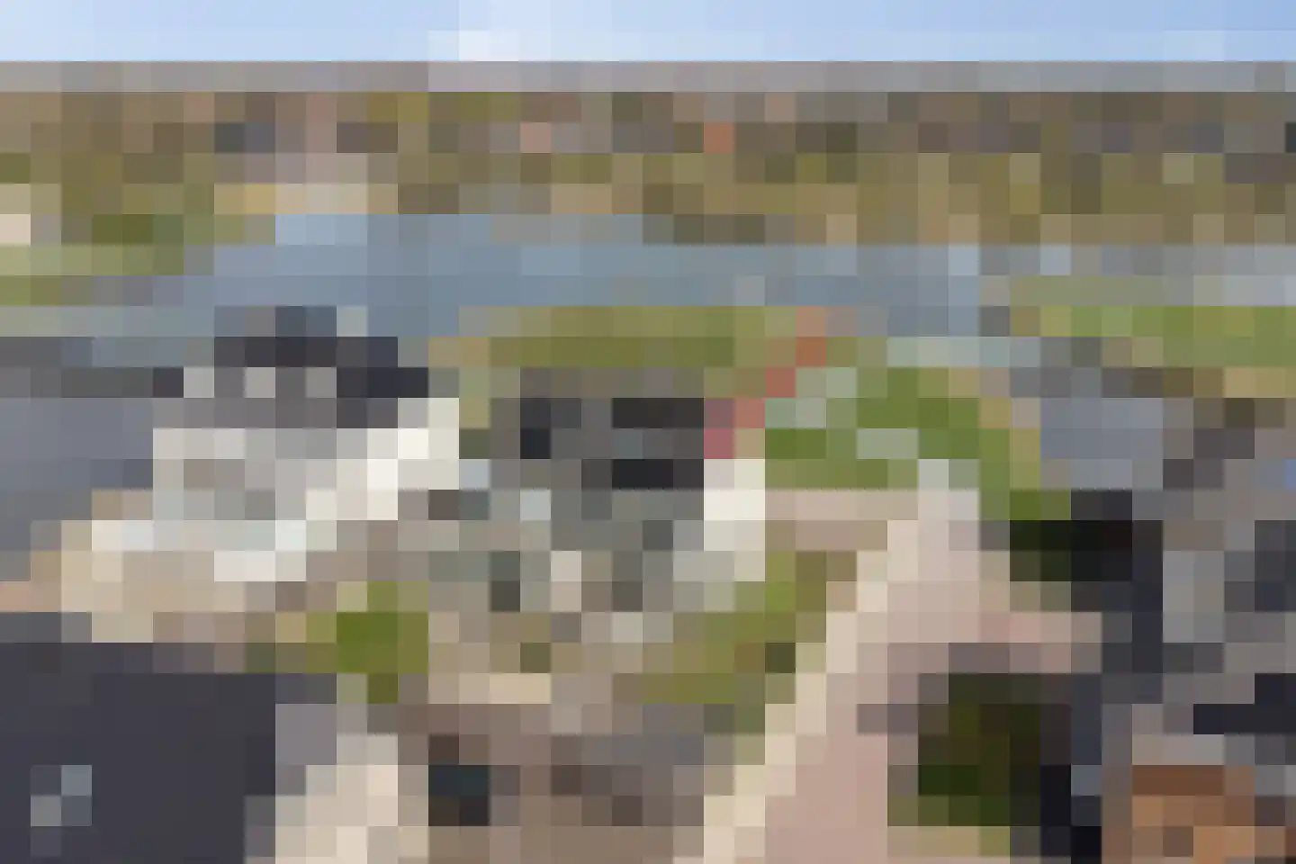 Reijersgroet 115 Alkmaar thumbnail 43
