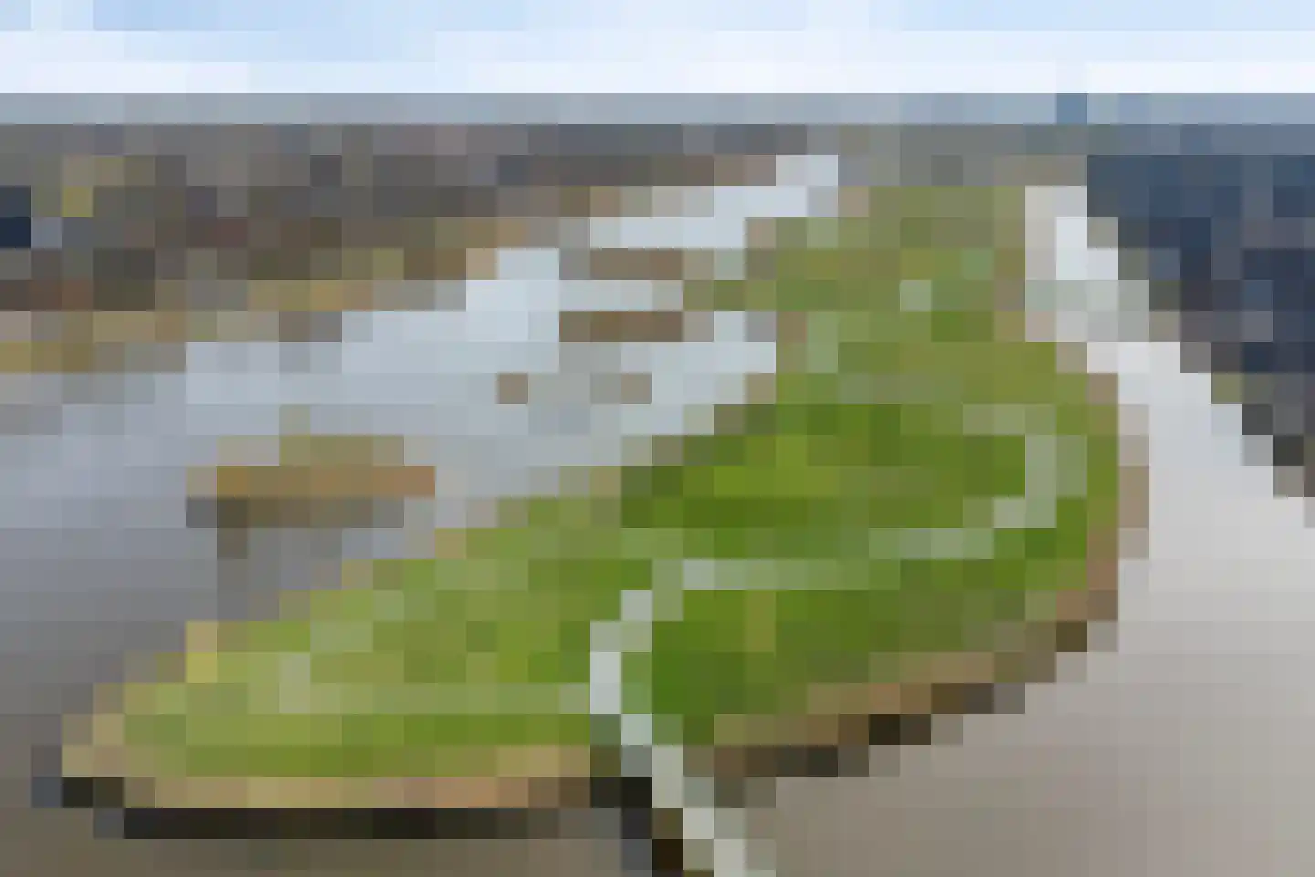 Reijersgroet 115 Alkmaar thumbnail 45