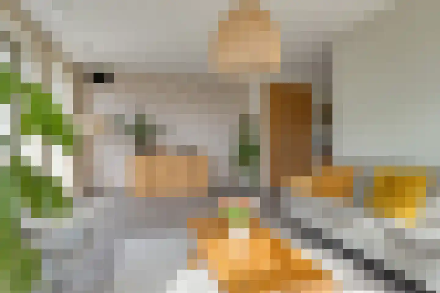 Reijersgroet 115 Alkmaar thumbnail 5