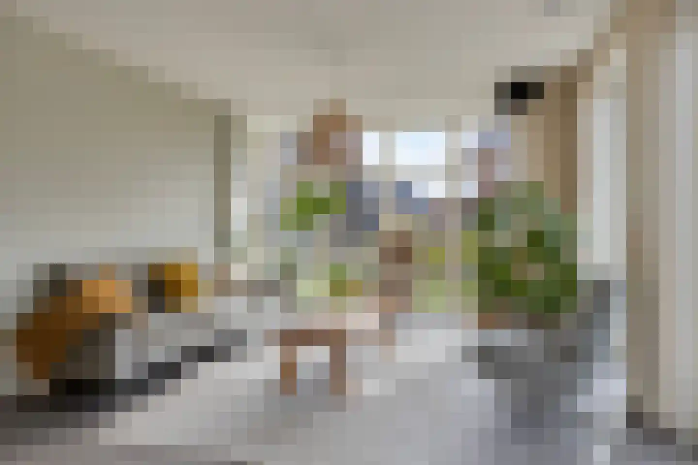 Reijersgroet 115 Alkmaar thumbnail 9