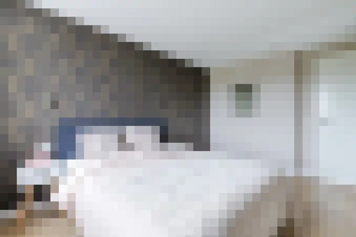 Reijersgroet 117 Alkmaar thumbnail 35