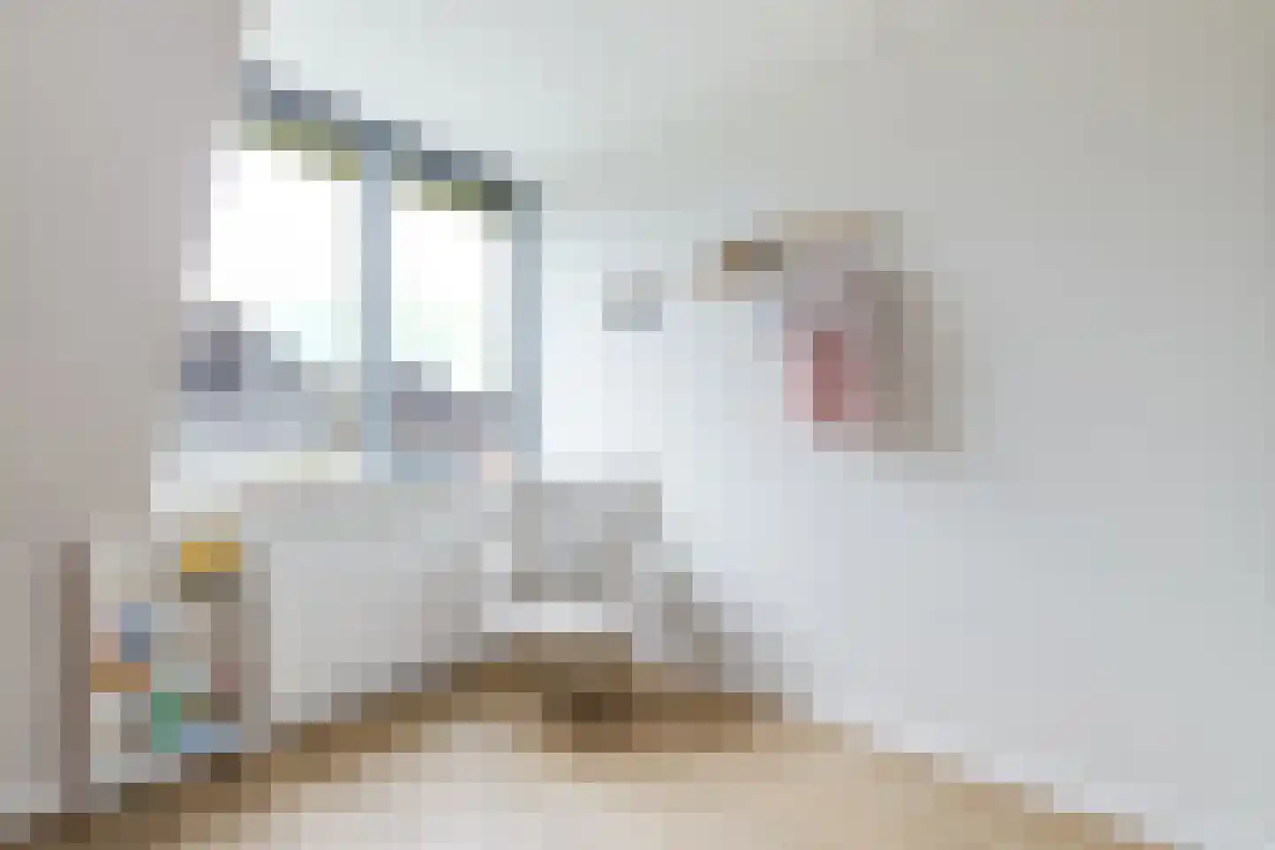 Reijersgroet 117 Alkmaar thumbnail 39