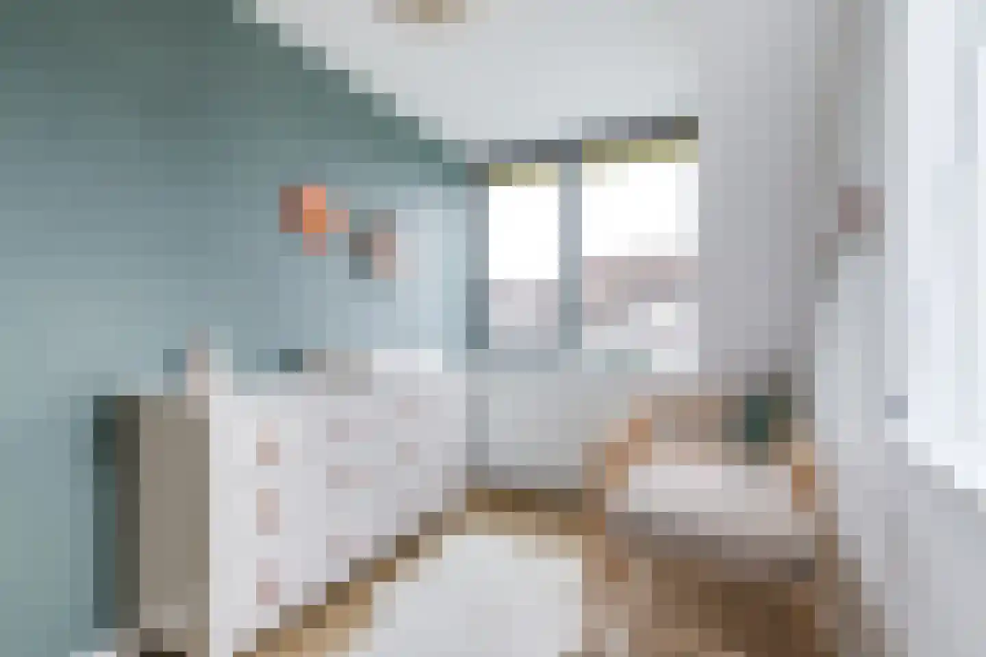 Reijersgroet 117 Alkmaar thumbnail 42