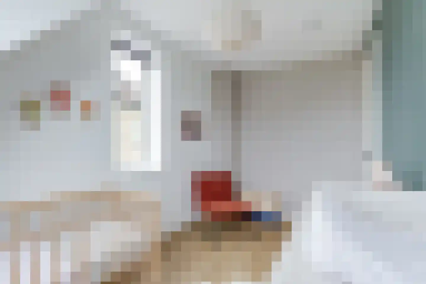 Reijersgroet 117 Alkmaar thumbnail 43