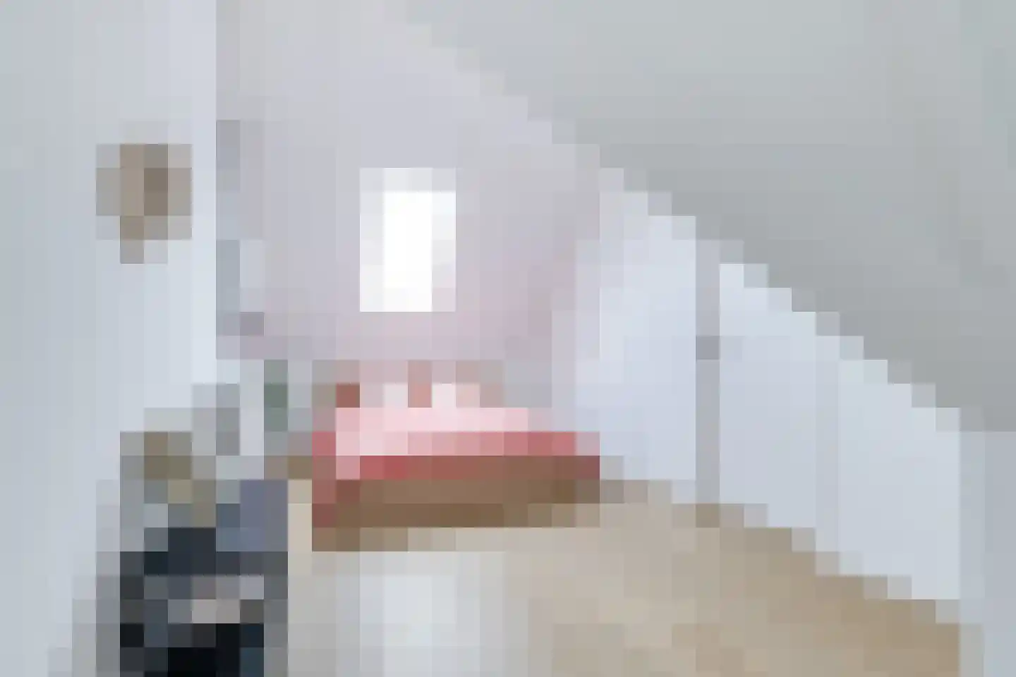 Reijersgroet 117 Alkmaar thumbnail 47