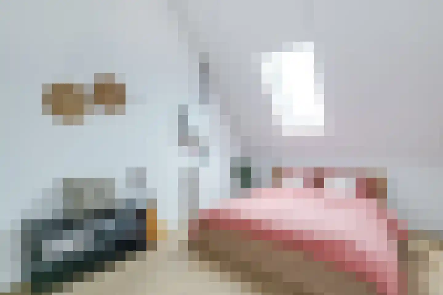 Reijersgroet 117 Alkmaar thumbnail 48