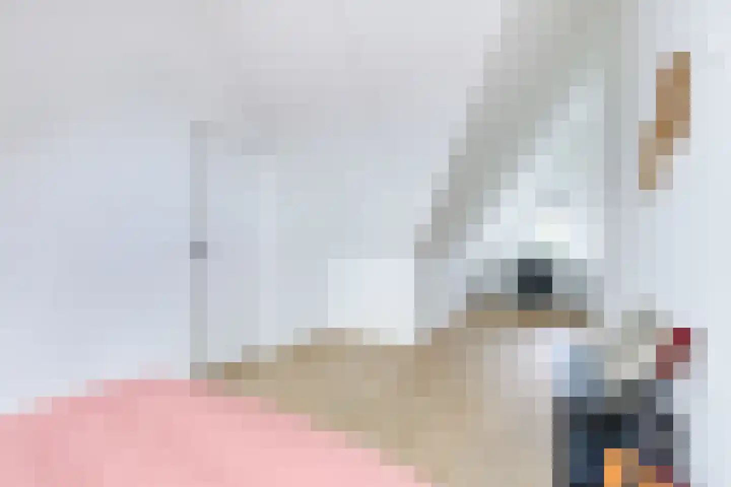 Reijersgroet 117 Alkmaar thumbnail 49