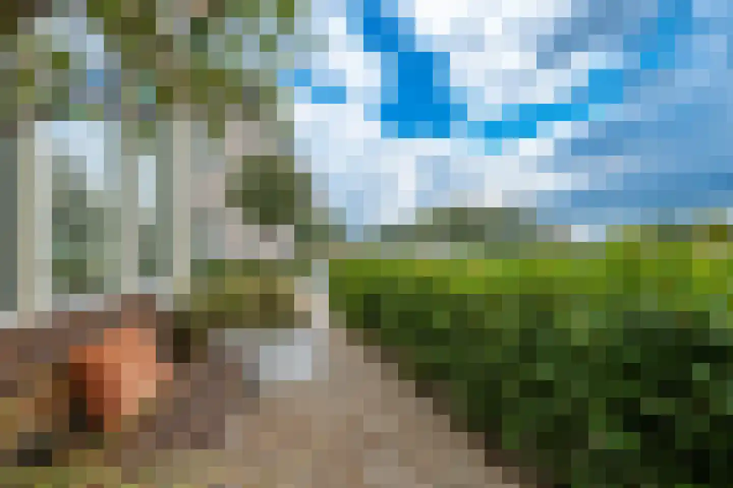 Reijersgroet 117 Alkmaar thumbnail 53