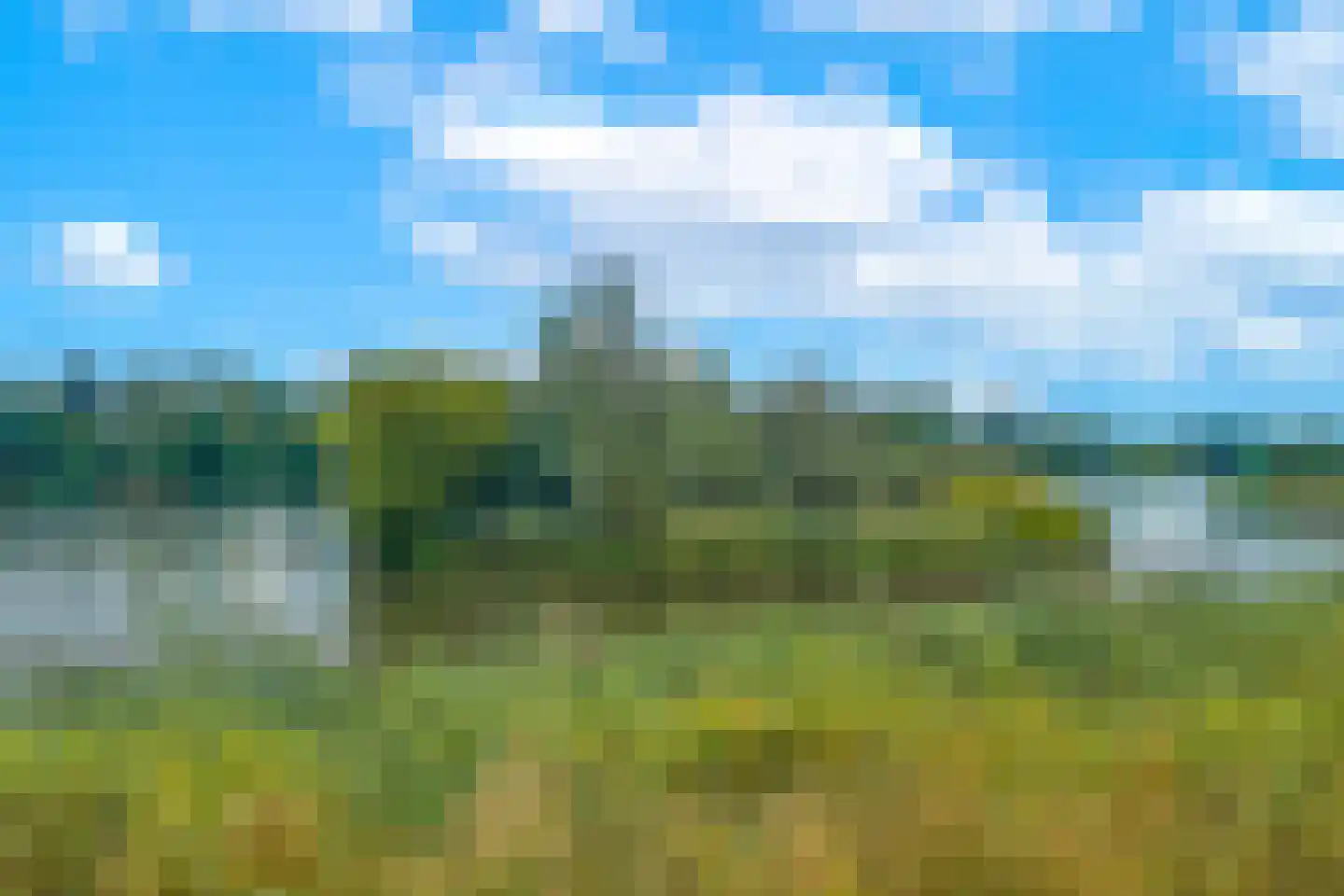 Reijersgroet 117 Alkmaar thumbnail 59