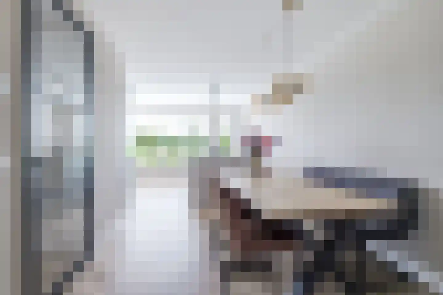 Reijersgroet 117 Alkmaar thumbnail 8