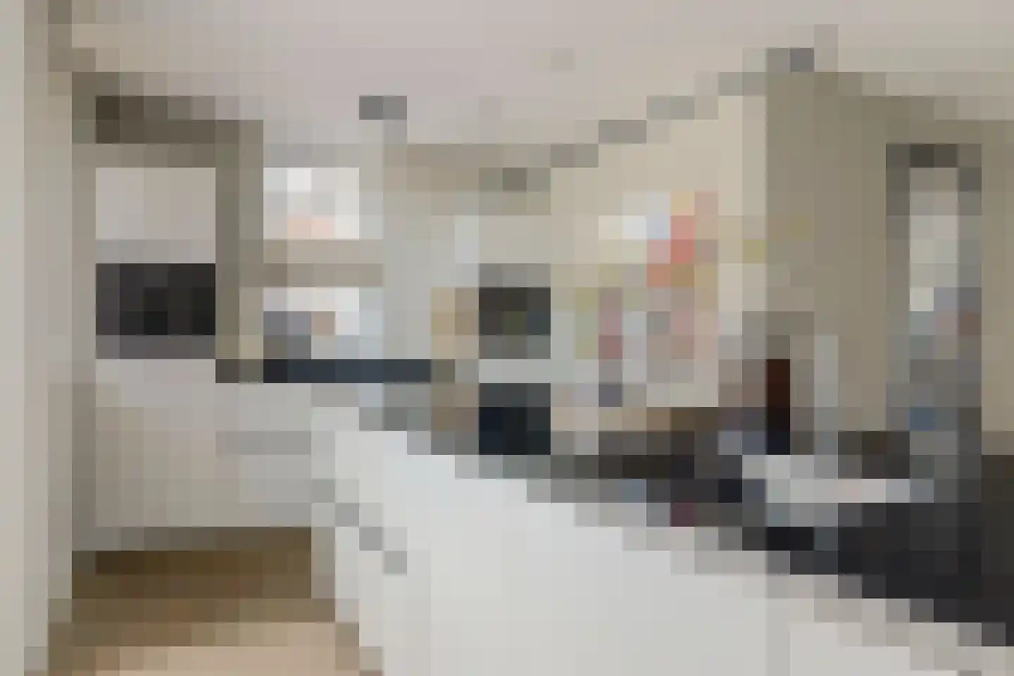 Reijersgroet 126 Alkmaar thumbnail 13