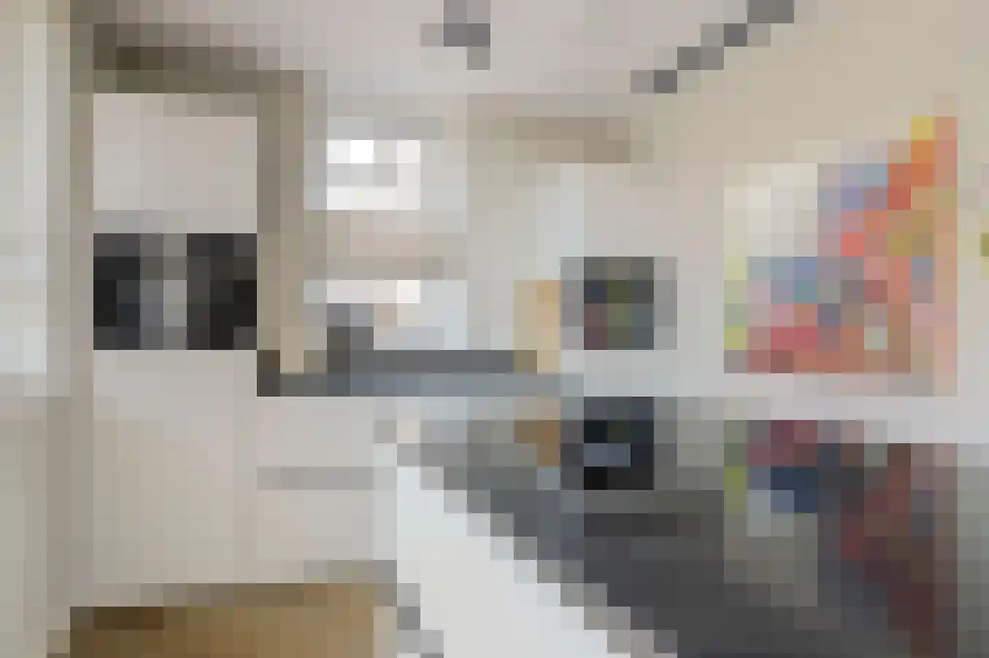 Reijersgroet 126 Alkmaar thumbnail 14