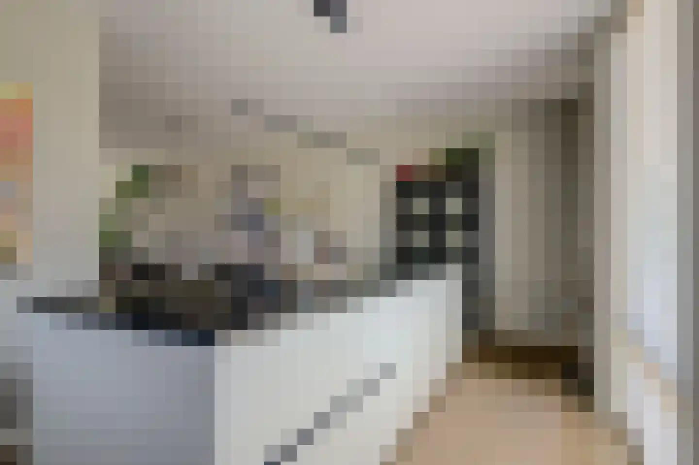 Reijersgroet 126 Alkmaar thumbnail 15